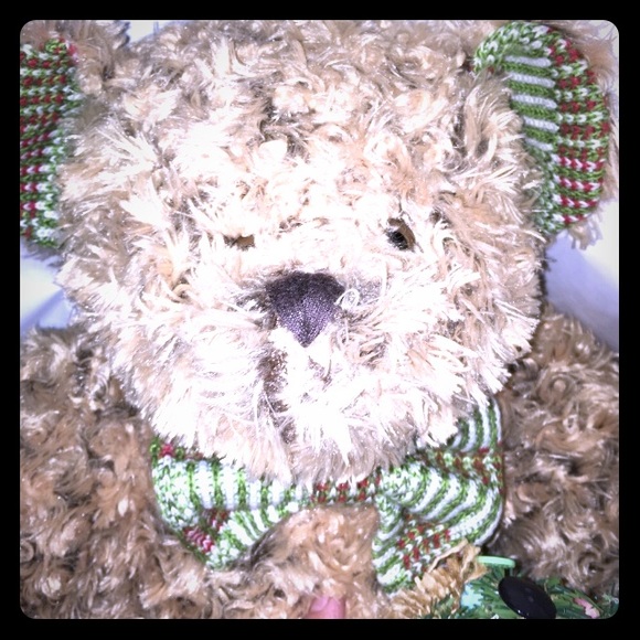 homerbest teddy bear